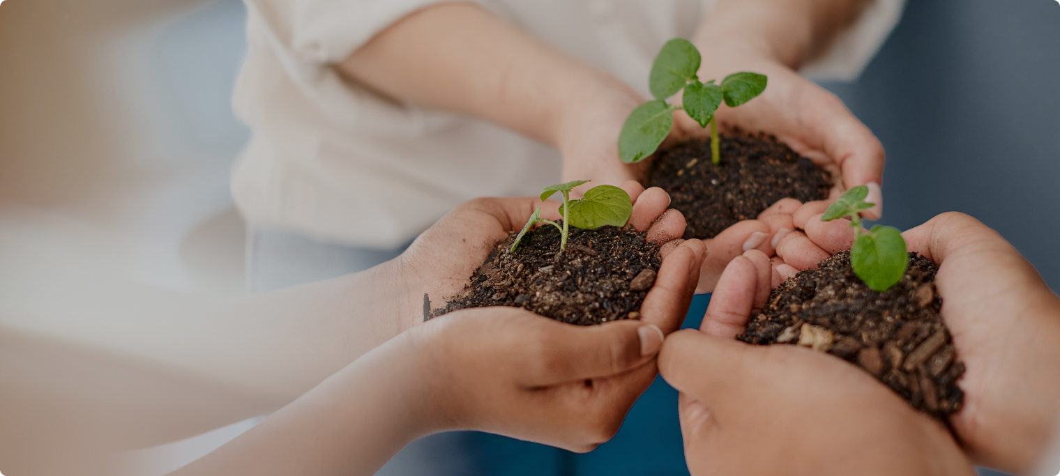 HJC黄金城·(中国区)集团官方网站