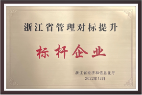 浙江省治理对标提升标杆企业