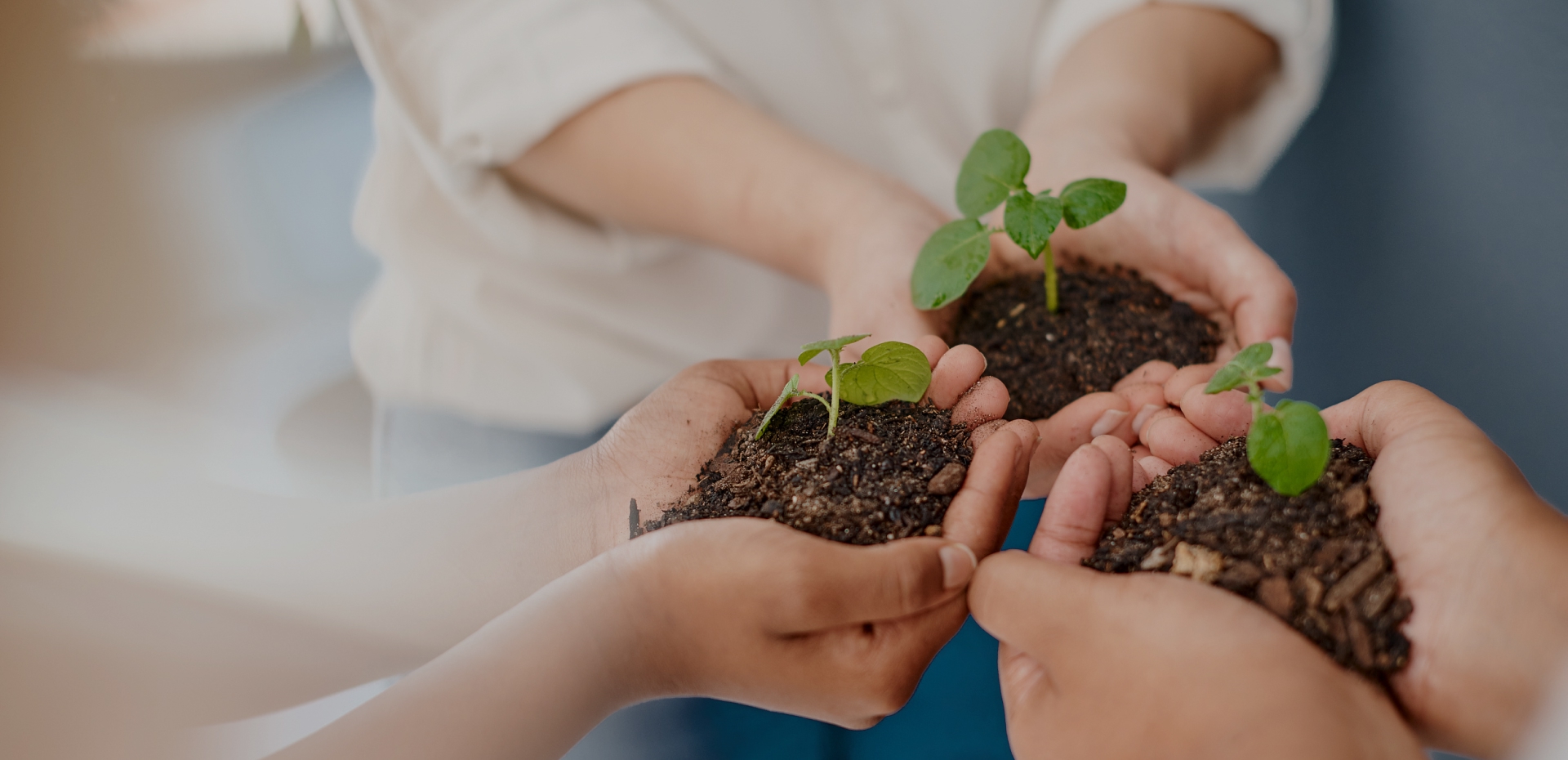 HJC黄金城官方网站行动